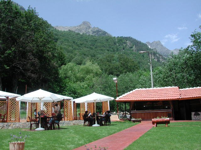 Original image