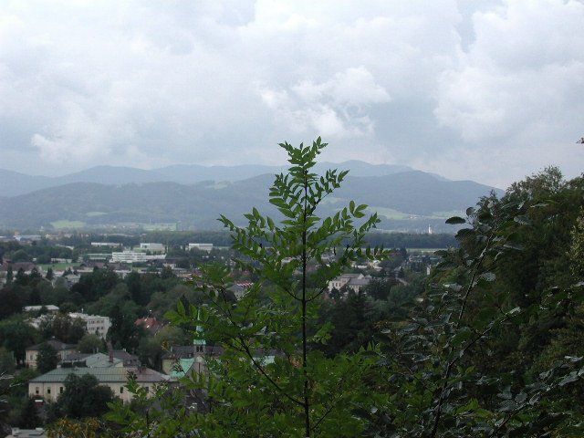 Original image