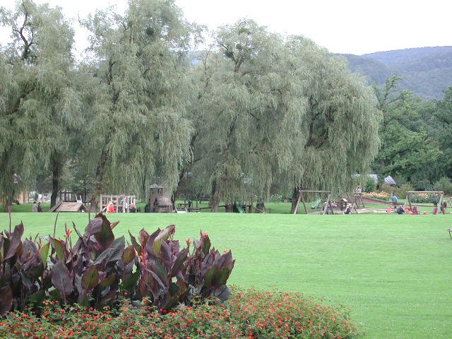 Original image