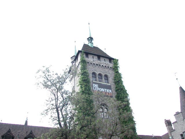 Original image